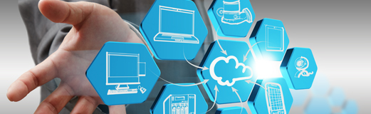 software Software Development